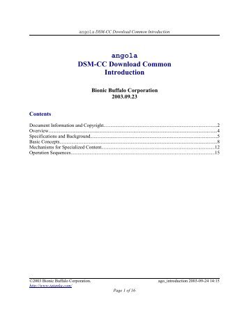 angola DSM-CC Download Common Introduction