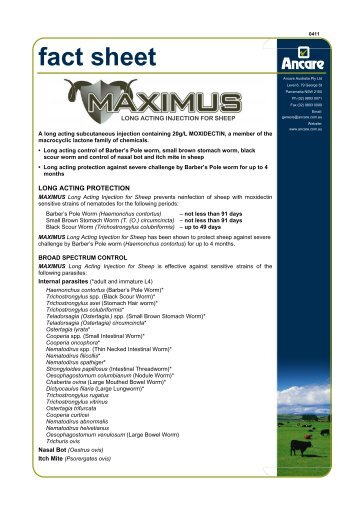 MAXIMUS LA - Fact Sheet - Ancare