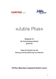 LeitfadenChecklisten_Jubla Plus - Jubla Luzern