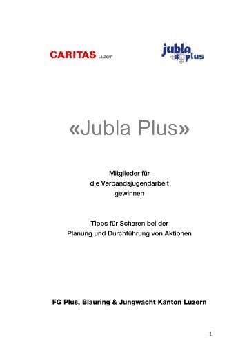 LeitfadenChecklisten_Jubla Plus - Jubla Luzern
