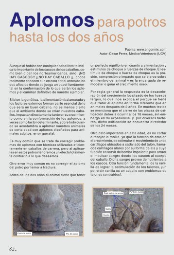 Anuario, paginas 83-95 - Asociación Argentina de Fomento Equino