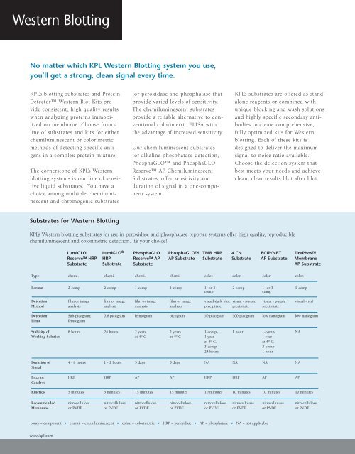 Western Blotting - KPL