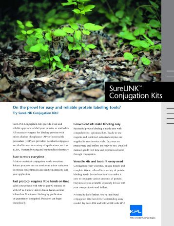 SureLINK Conjugation Kit Flyer - KPL