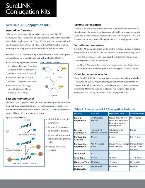 SureLINK Conjugation Kit Flyer - KPL