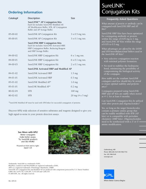 SureLINK Conjugation Kit Flyer - KPL