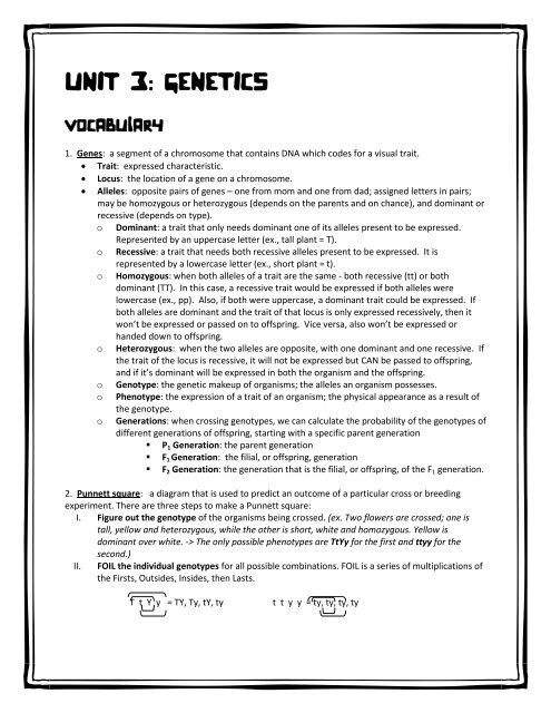 33-worksheet-dihybrid-crosses-unit-3-genetics-answers-support-worksheet