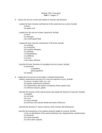 biol 103 quizzes unit assessment 1 Pixl aqa knowledge test unit 1 biology 1: gcse science a for certification june 2014 onwards b12 nerves and hormones 121 the nervous system. biol 103 quizzes unit assessment 1 Pixl aqa knowledge test unit 1 biology 1: gcse science a for certification june 2014 onwards b12 nerves and hormones 121 the nervous system.