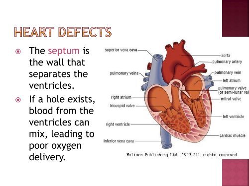 homeostasis power point sf.pdf