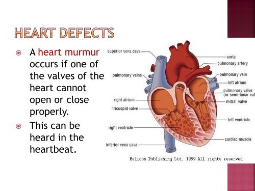 homeostasis power point sf.pdf