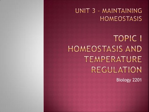 homeostasis power point sf.pdf