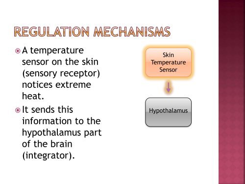 homeostasis power point sf.pdf