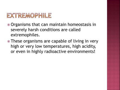 homeostasis power point sf.pdf