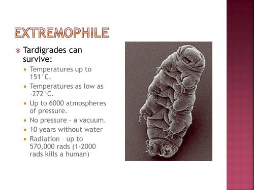 homeostasis power point sf.pdf