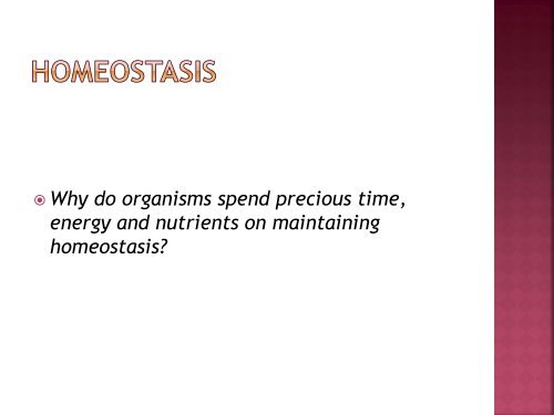 homeostasis power point sf.pdf