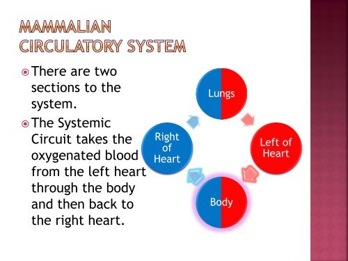 homeostasis power point sf.pdf