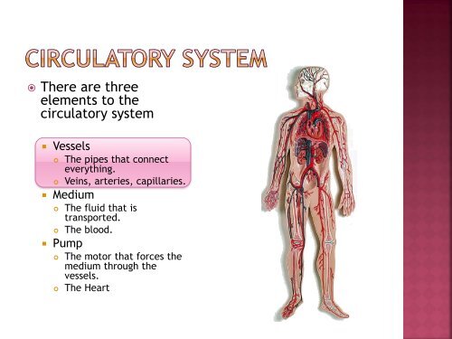 homeostasis power point sf.pdf