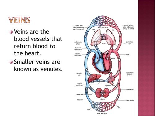 homeostasis power point sf.pdf