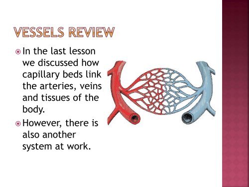 homeostasis power point sf.pdf