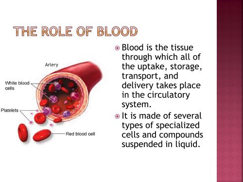 homeostasis power point sf.pdf