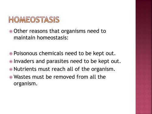 homeostasis power point sf.pdf