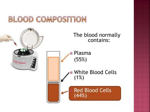 homeostasis power point sf.pdf