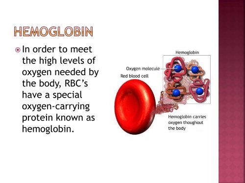 homeostasis power point sf.pdf