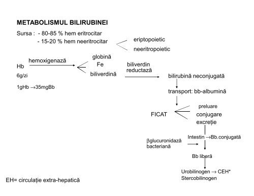 sindromul ascitic - UMF - Iuliu HaÅ£ieganu