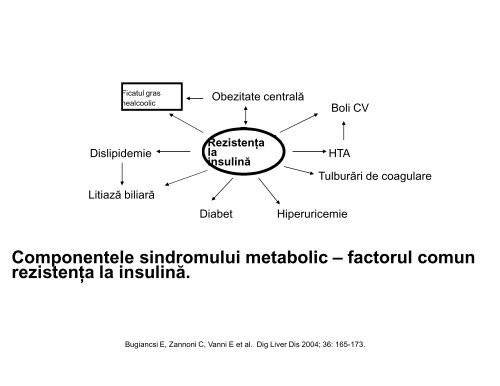 sindromul ascitic - UMF - Iuliu HaÅ£ieganu