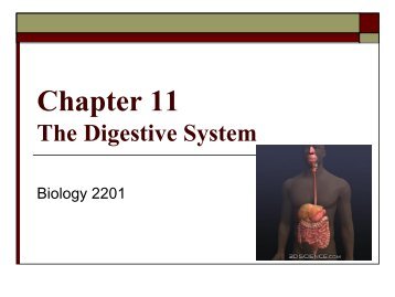 Biology 2201 Chapter 11 Digestion.pdf