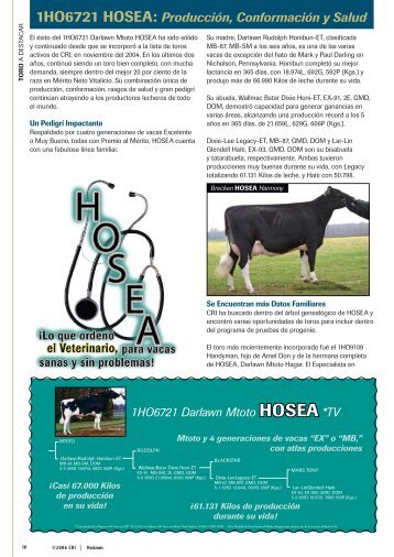 1Ho6721 HoSEA: ProducciÃ³n, ConformaciÃ³n y Salud