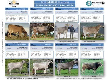 Swiss Brown cattle BreedersÂ´s Federation