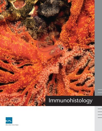 Immunohistochemistry Supporting Documents - KPL