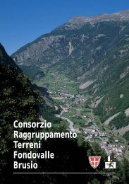 Consorzio Raggruppamento Terreni Fondovalle Brusio - il bernina