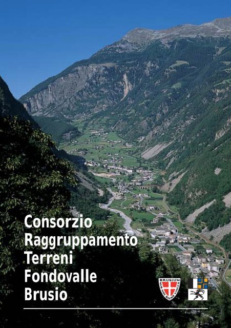 Consorzio Raggruppamento Terreni Fondovalle Brusio - il bernina