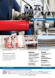 revista provi 6