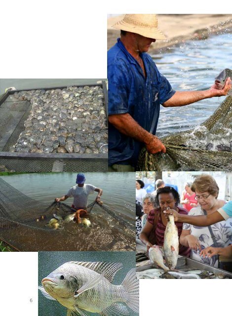 MercadoPescadosNordeste.pdf