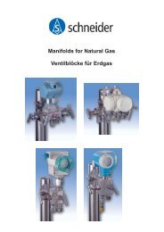 Manifolds for Natural Gas Ventilblöcke für Erdgas