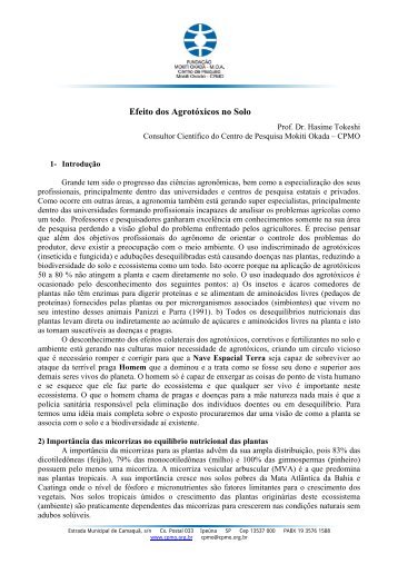 Efeito dos AgrotÃ³xicos no Solo - Centro de Pesquisa Mokiti Okada