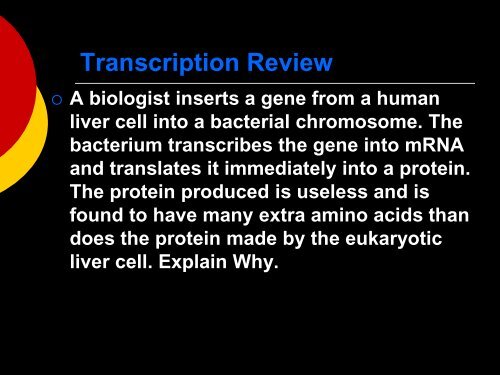 17- gene to protein.pdf