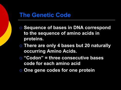 17- gene to protein.pdf