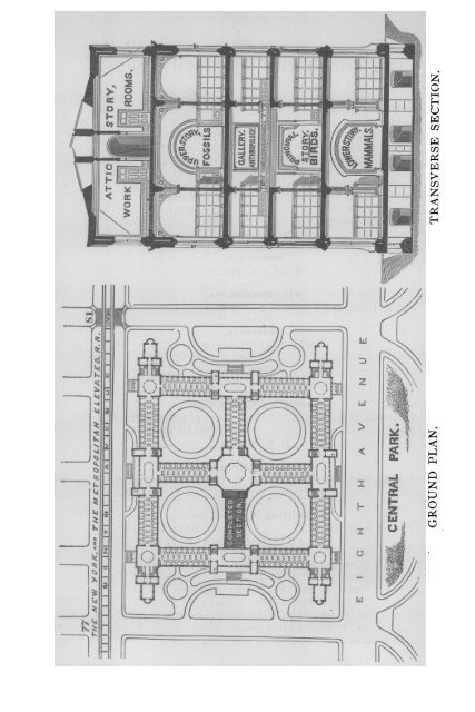 1884-1885 - American Museum of Natural History