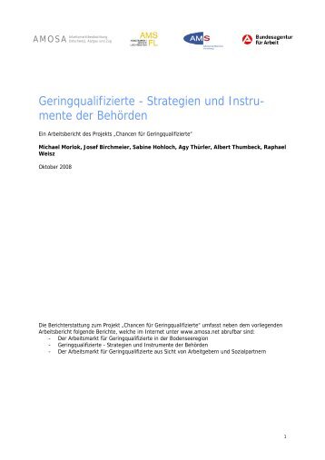 Geringqualifizierte - Strategien und Instru- mente der ... - AMOSA