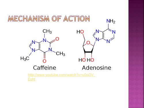 Chemistry of Caffeine - Quantum - East Stroudsburg University