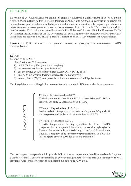 La PCR - BiOutils - UniversitÃ© de GenÃ¨ve