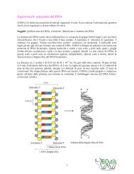 Esperienza 9: estrazione del DNA - BiOutils