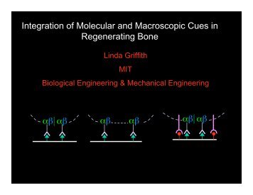 Linda Griffith, PhD, Professor and Director of the MIT Biotech ...