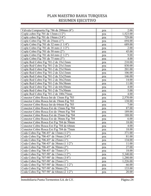 PLAN MAESTRO BAHIA TURQUESA - sinat - Semarnat