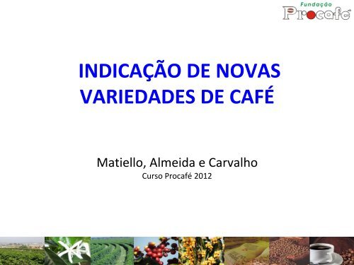 Procafé: Condições diferenciadas na recepa de cafeeiros conillon