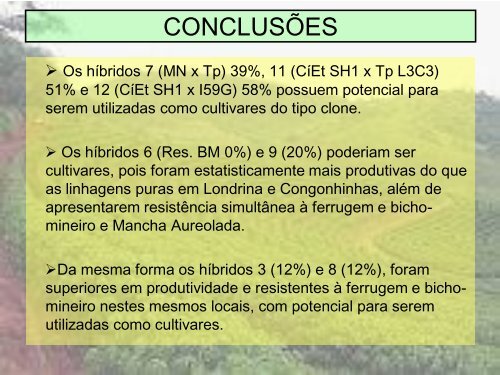 HETEROSE EM HÍBRIDOS DE CAFÉ ARÁBICA COM ...