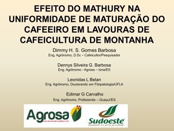 efeito do mathury na uniformidade de maturação do cafeeiro em ...